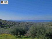 Kalochorafitis Kreta, Kalochorafiti: Landwirtschaftliches Grundstück mit 170 Olivenbäumen Grundstück kaufen